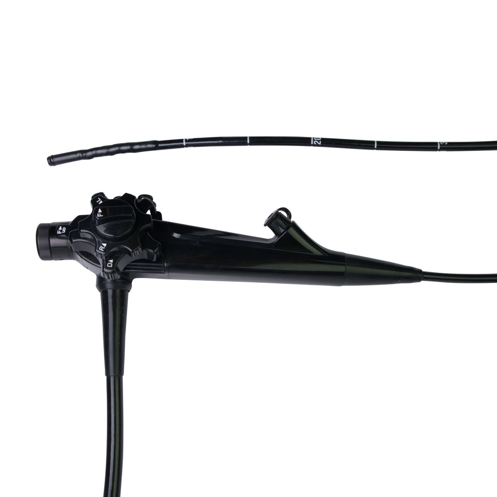 Videoendoskop, EickView HD+ 1